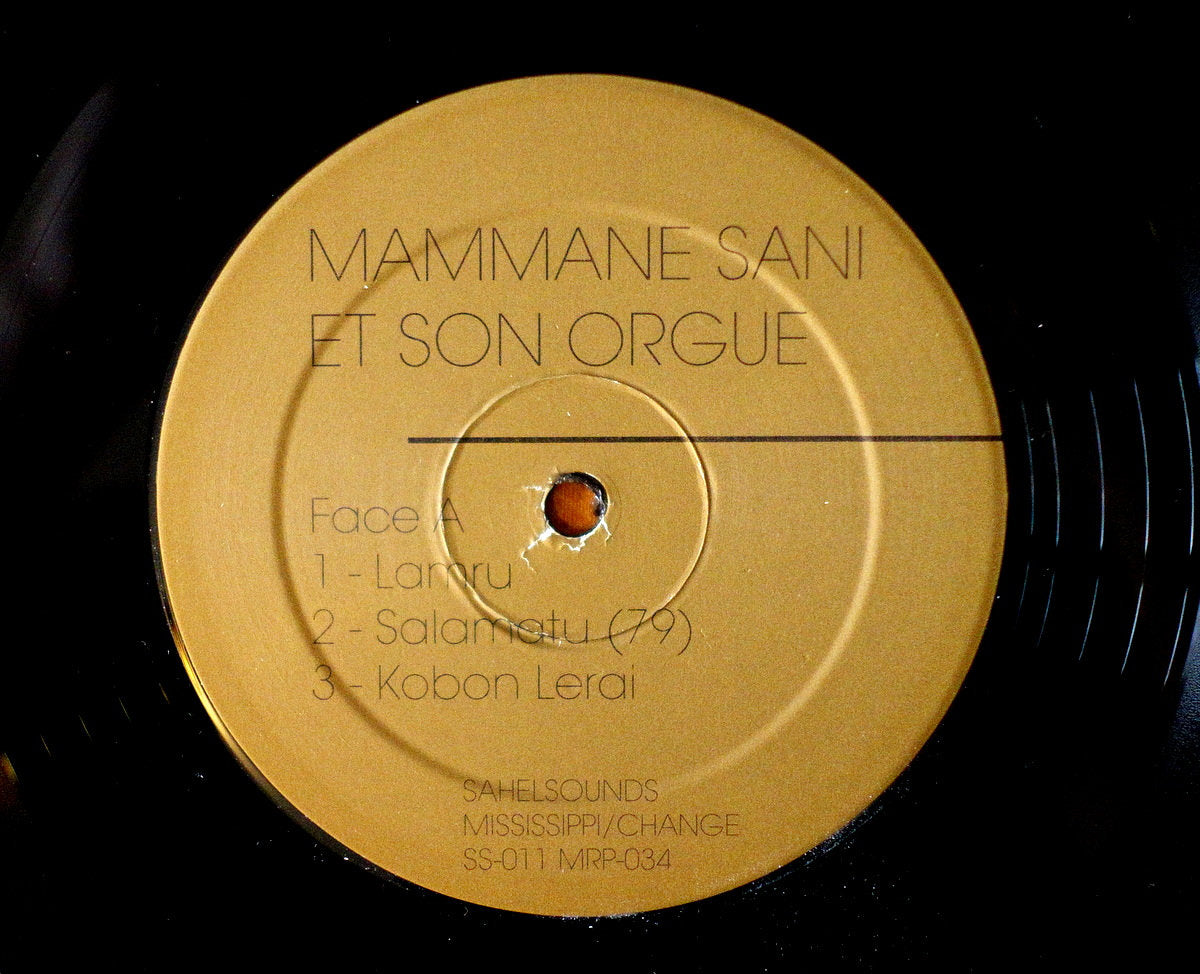 Mamman Sani - La Musique Électronique du Niger